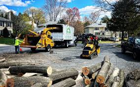 Best Tree and Shrub Care  in Good Hope, AL