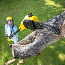 Best Lawn Disease Treatment  in Good Hope, AL
