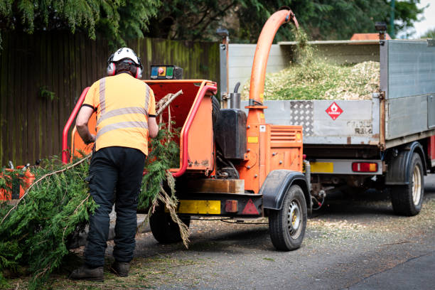 Best Lawn Drainage Solutions  in Good Hope, AL