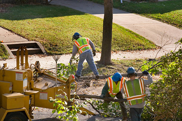 Best Arborist Consultation Services  in Good Hope, AL