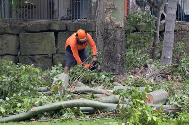Best Leaf Removal  in Good Hope, AL