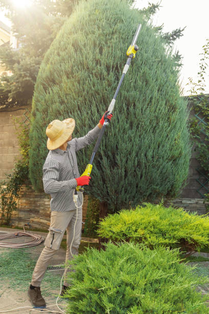 Trusted Good Hope, AL Tree Services Experts
